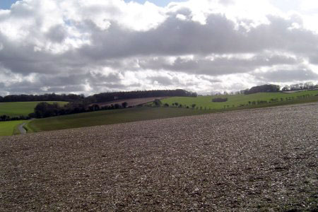 The view across the downs from Cliddesden school