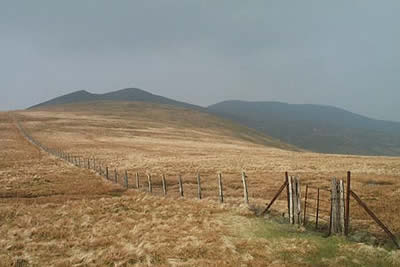 Skiddaw seen from the col just west of Lonscale Fell