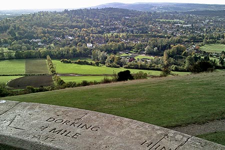 View from Salomons Memorial, Box Hill