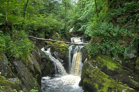 Ingleton Waterfalls Walk - waterfall in Swilla Glen