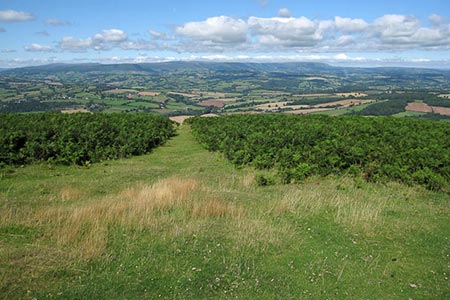 View from the summit of Garway Hill